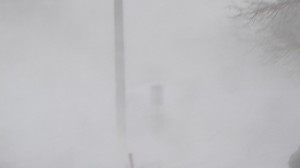 Whiteout. Photo attributed to A. Currell on flickr